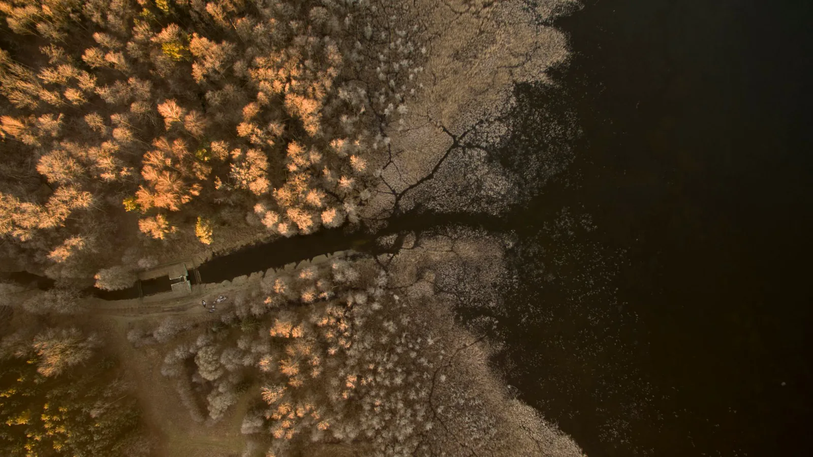 Polish lake landscape at dawn